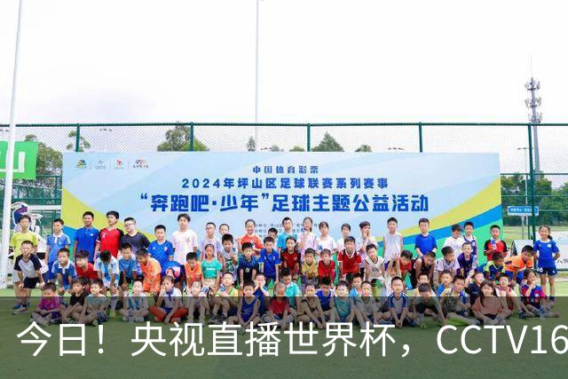 今日！央视直播世界杯，CCTV16转中超，网络转大连鲲城+可为+U17中国男篮+F1等