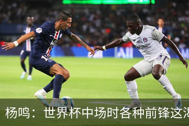 杨鸣：世界杯中场时各种前锋这渴了那饿了全来了 谁能记住后卫呢